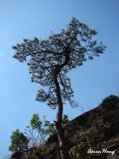 «ö¦¹¦b·sµøµ¡ÂsÄý¹Ï¤ù