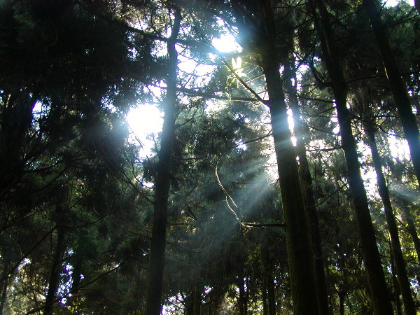 按此在新視窗瀏覽圖片