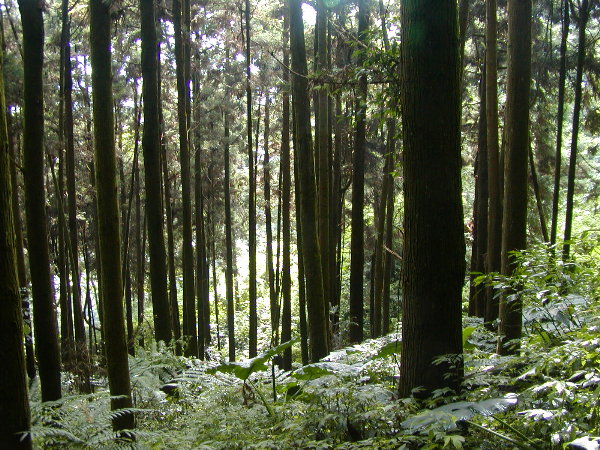 按此在新視窗瀏覽圖片