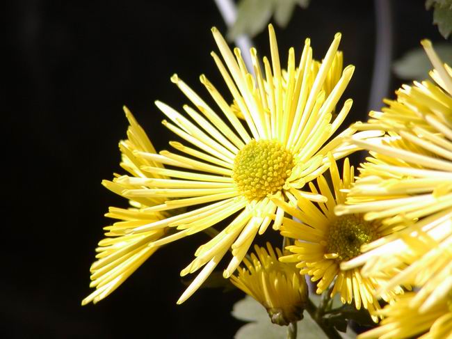 按此在新視窗瀏覽圖片