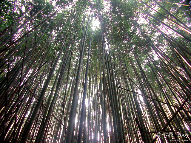 按此在新視窗瀏覽圖片