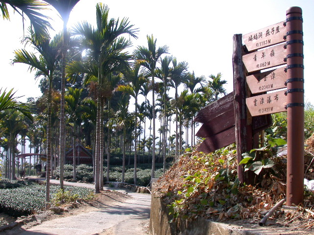 按此在新視窗瀏覽圖片