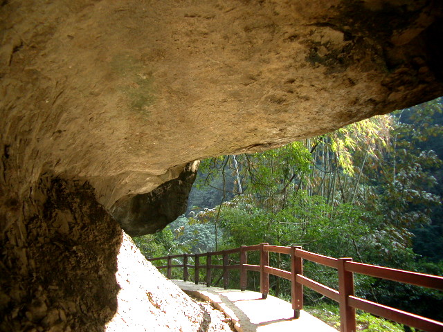 按此在新視窗瀏覽圖片