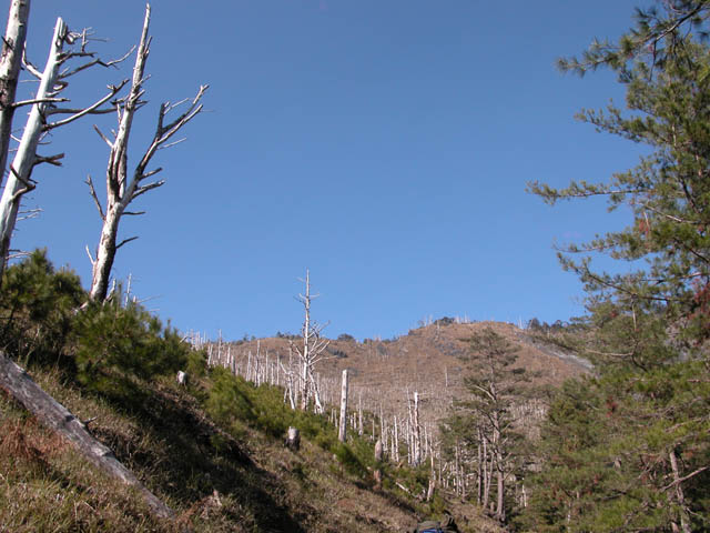 按此在新視窗瀏覽圖片