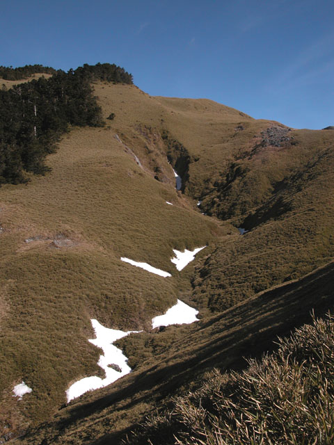按此在新視窗瀏覽圖片