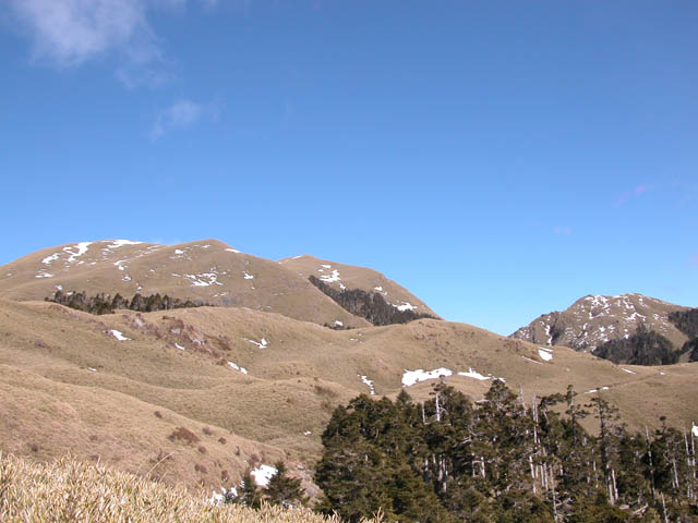 按此在新視窗瀏覽圖片