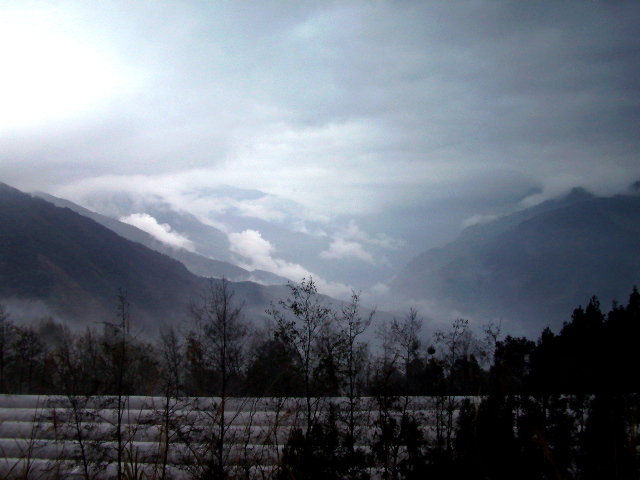 «ö¦¹¦b·sµøµ¡ÂsÄý¹Ï¤ù