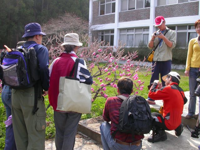 按此在新視窗瀏覽圖片