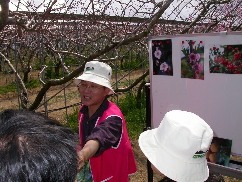 按此在新視窗瀏覽圖片