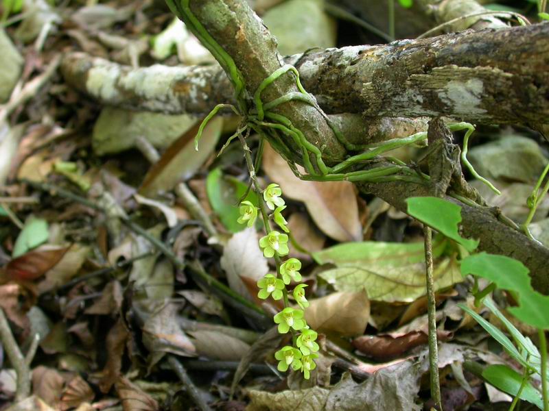 按此在新視窗瀏覽圖片