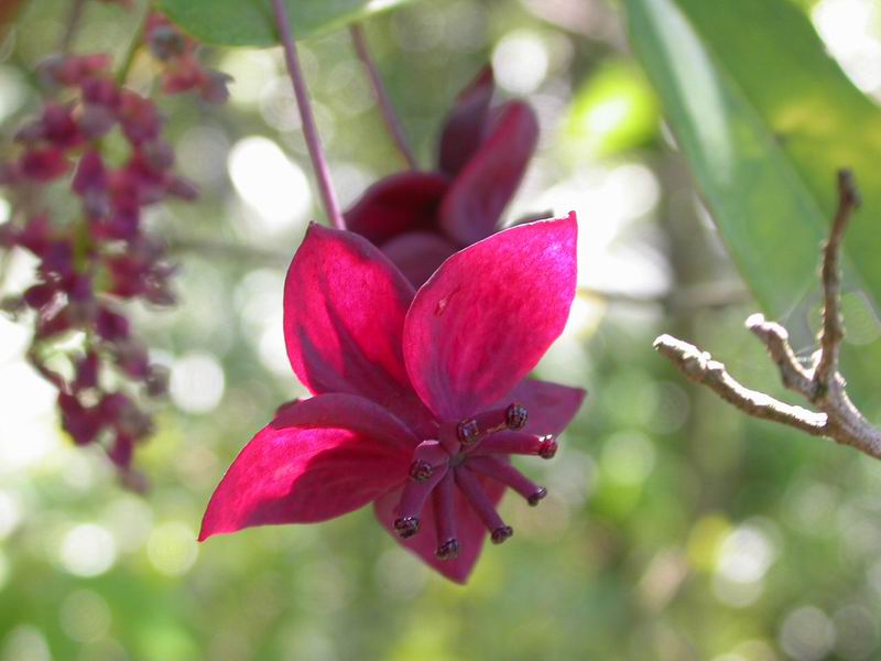 按此在新視窗瀏覽圖片