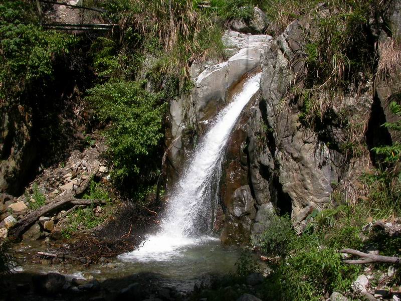 按此在新視窗瀏覽圖片