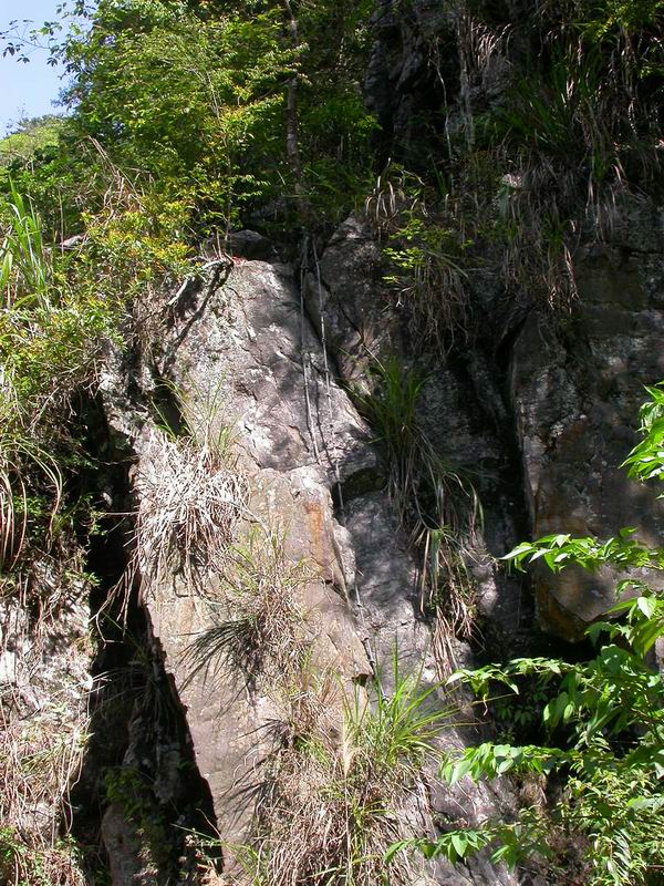 按此在新視窗瀏覽圖片