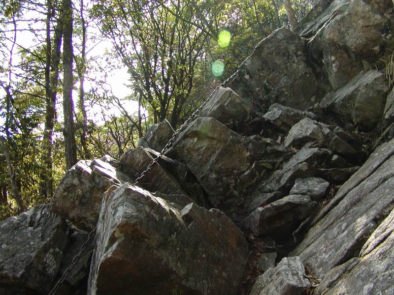 按此在新視窗瀏覽圖片