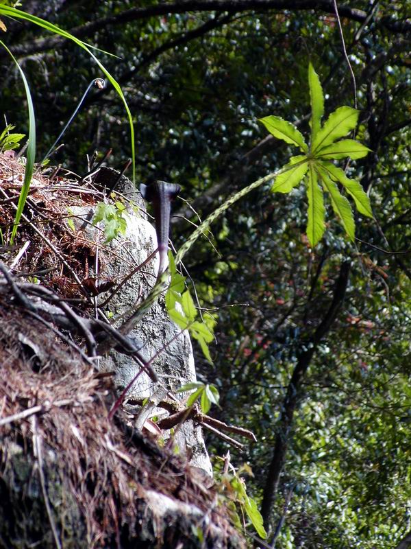 按此在新視窗瀏覽圖片