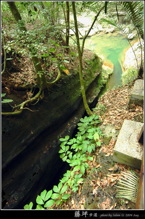 按此在新視窗瀏覽圖片