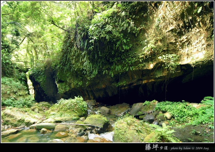 按此在新視窗瀏覽圖片