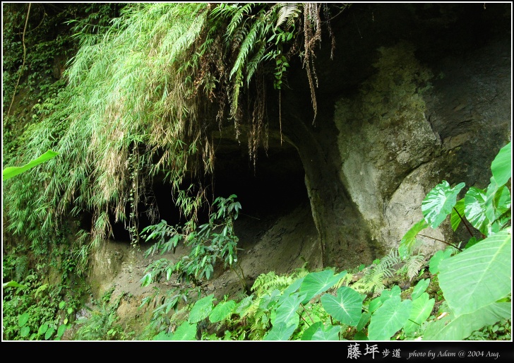 按此在新視窗瀏覽圖片