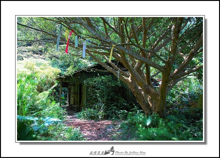 按此在新視窗瀏覽圖片