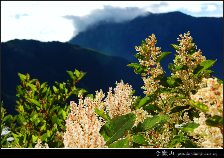 按此在新視窗瀏覽圖片