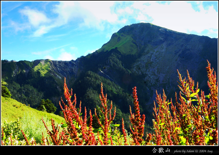 按此在新視窗瀏覽圖片