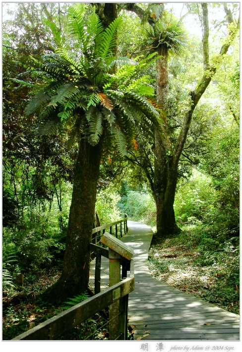 按此在新視窗瀏覽圖片