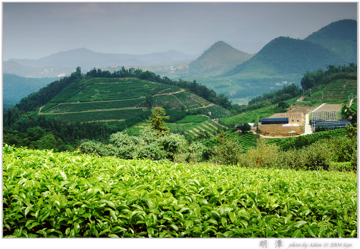 按此在新視窗瀏覽圖片