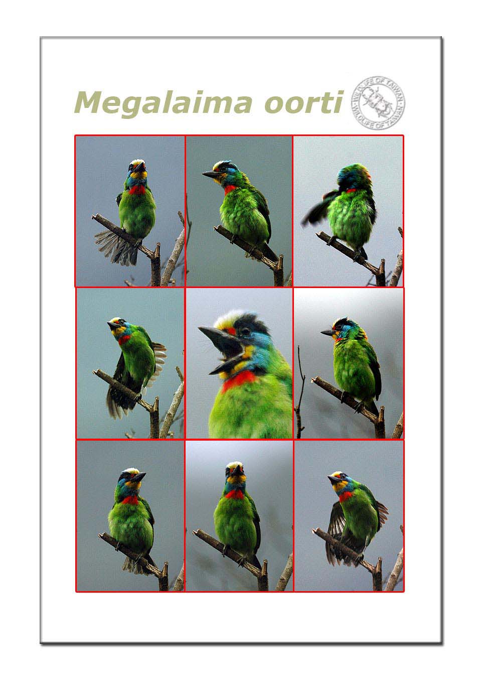 按此在新視窗瀏覽圖片