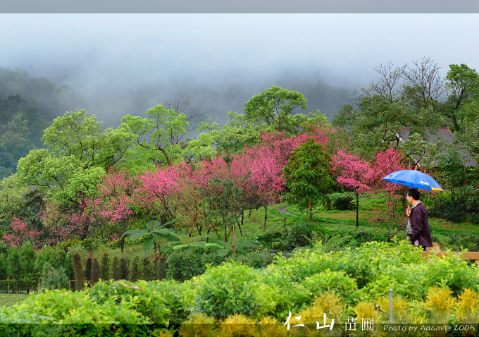 按此在新視窗瀏覽圖片