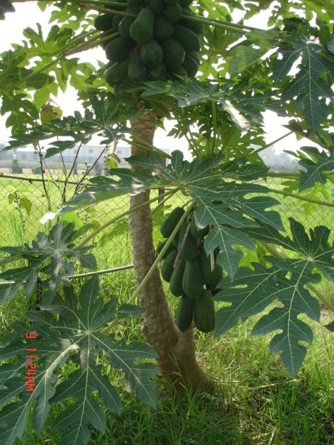 «ö¦¹¦b·sµøµ¡ÂsÄý¹Ï¤ù