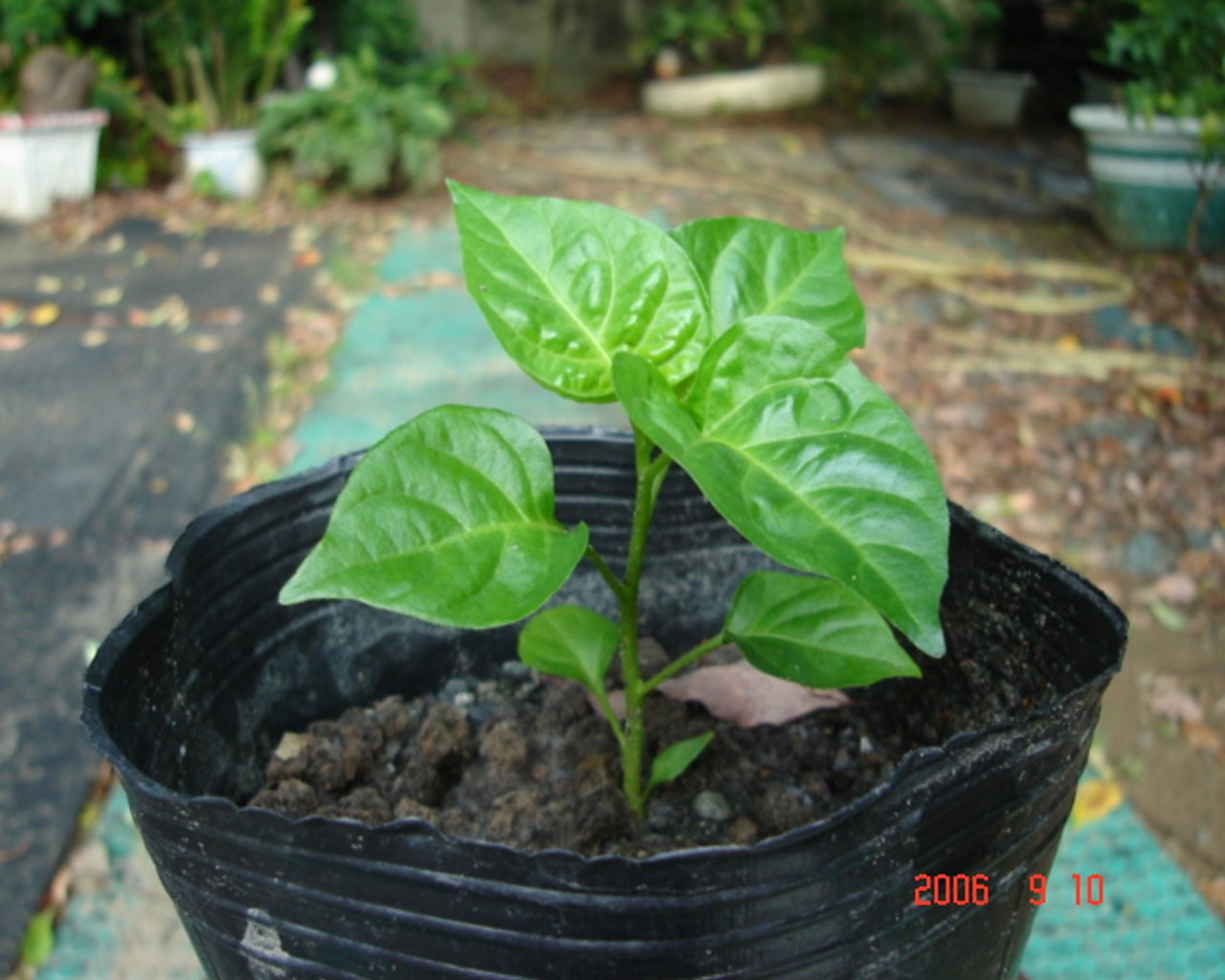 «ö¦¹¦b·sµøµ¡ÂsÄý¹Ï¤ù