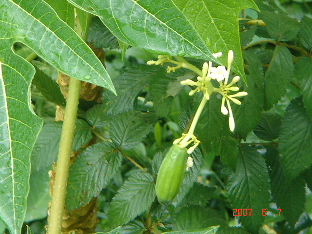 «ö¦¹¦b·sµøµ¡ÂsÄý¹Ï¤ù