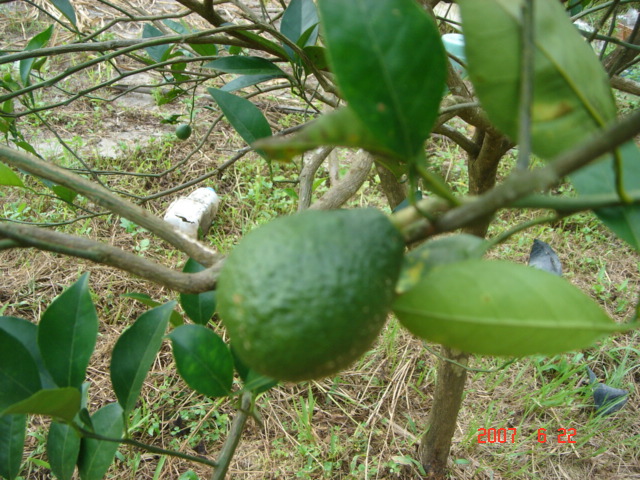 «ö¦¹¦b·sµøµ¡ÂsÄý¹Ï¤ù