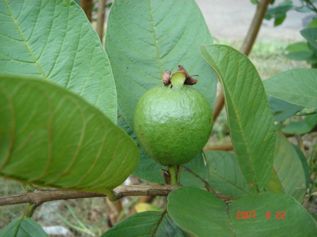 «ö¦¹¦b·sµøµ¡ÂsÄý¹Ï¤ù