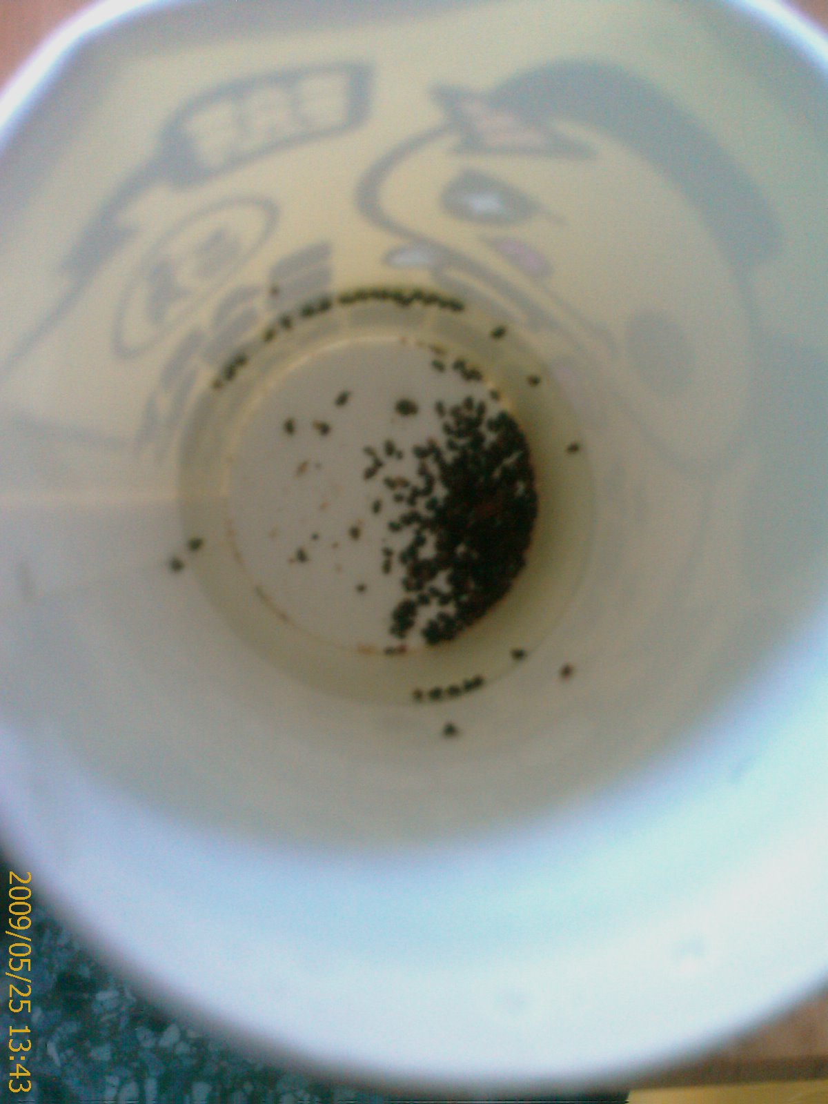 «ö¦¹¦b·sµøµ¡ÂsÄý¹Ï¤ù