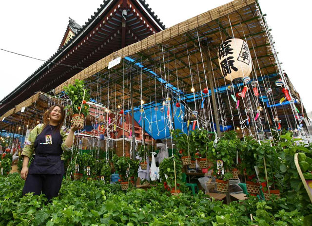 按此在新視窗瀏覽圖片