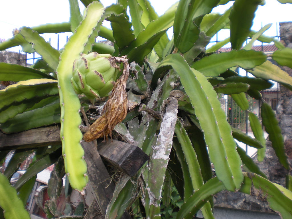 «ö¦¹¦b·sµøµ¡ÂsÄý¹Ï¤ù