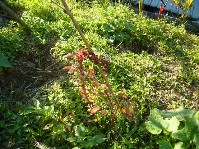 «ö¦¹¦b·sµøµ¡ÂsÄý¹Ï¤ù