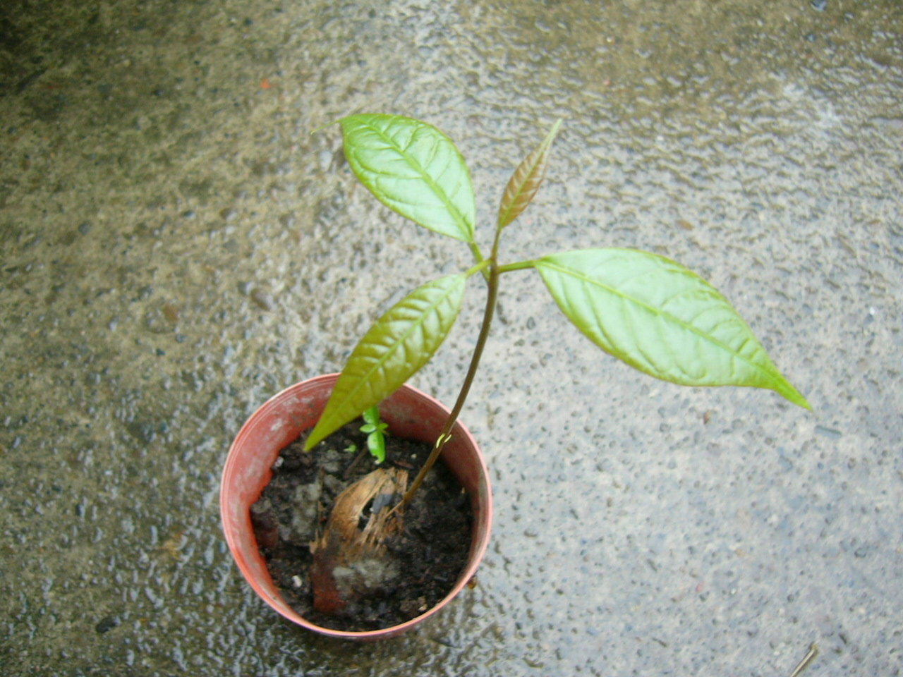 «ö¦¹¦b·sµøµ¡ÂsÄý¹Ï¤ù