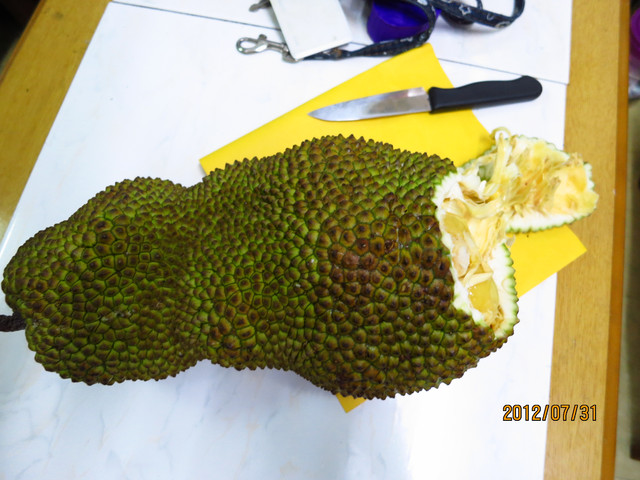 «ö¦¹¦b·sµøµ¡ÂsÄý¹Ï¤ù