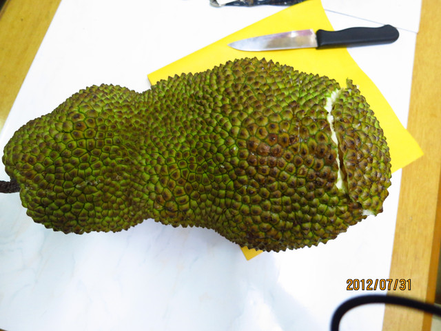 «ö¦¹¦b·sµøµ¡ÂsÄý¹Ï¤ù