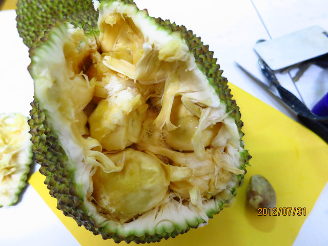 «ö¦¹¦b·sµøµ¡ÂsÄý¹Ï¤ù