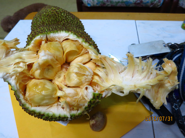 «ö¦¹¦b·sµøµ¡ÂsÄý¹Ï¤ù