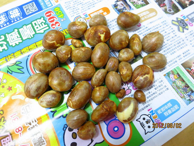 «ö¦¹¦b·sµøµ¡ÂsÄý¹Ï¤ù