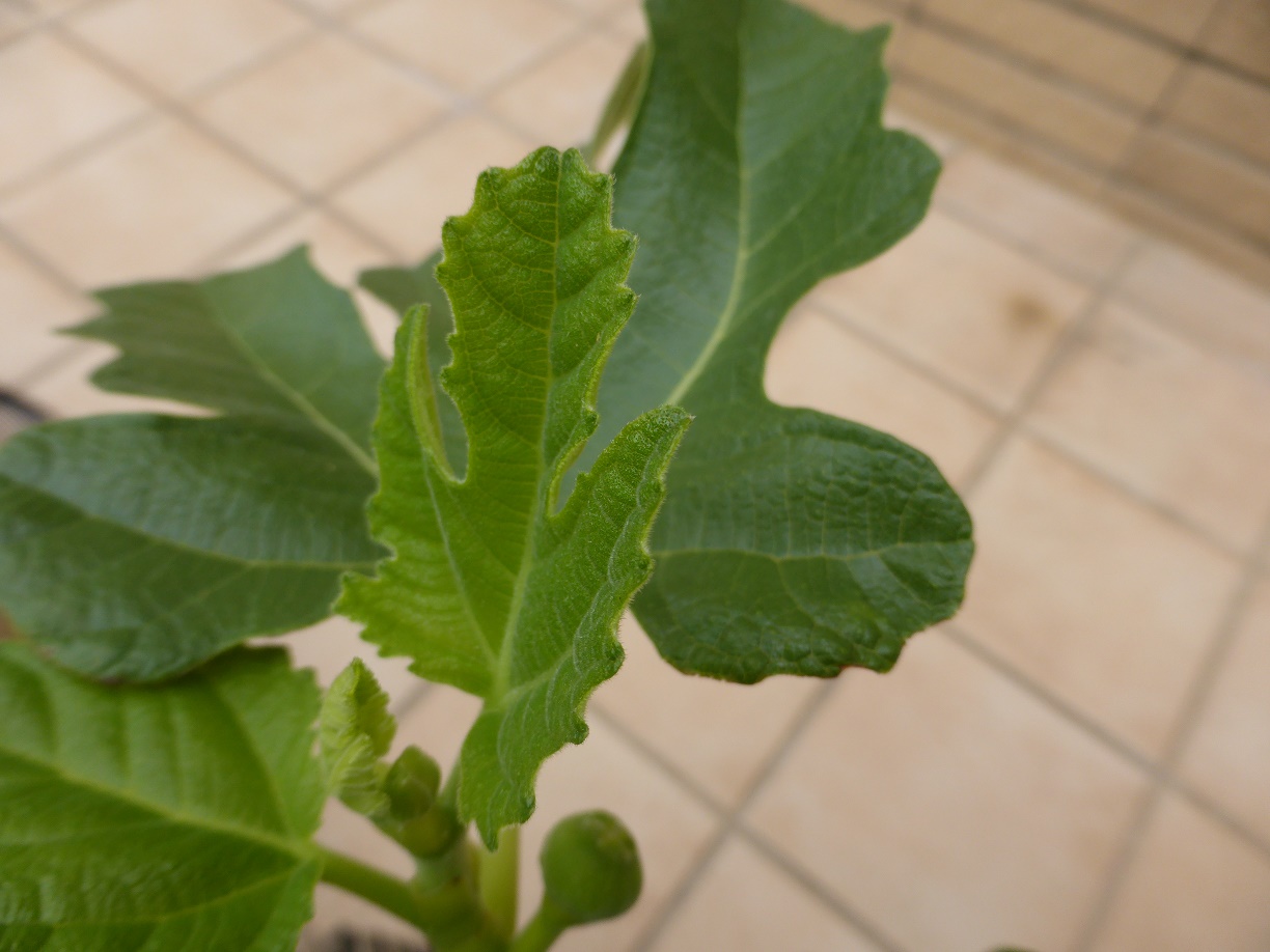 «ö¦¹¦b·sµøµ¡ÂsÄý¹Ï¤ù