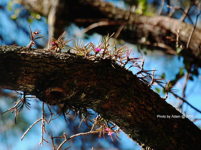 «ö¦¹¦b·sµøµ¡ÂsÄý¹Ï¤ù