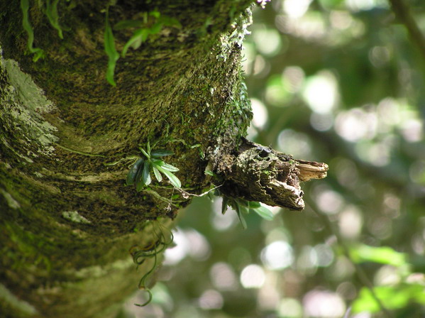 «ö¦¹¦b·sµøµ¡ÂsÄý¹Ï¤ù