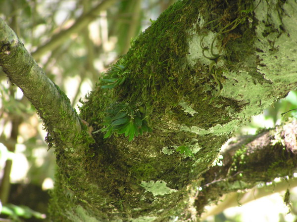 «ö¦¹¦b·sµøµ¡ÂsÄý¹Ï¤ù