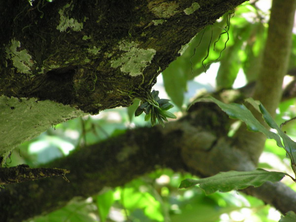 «ö¦¹¦b·sµøµ¡ÂsÄý¹Ï¤ù