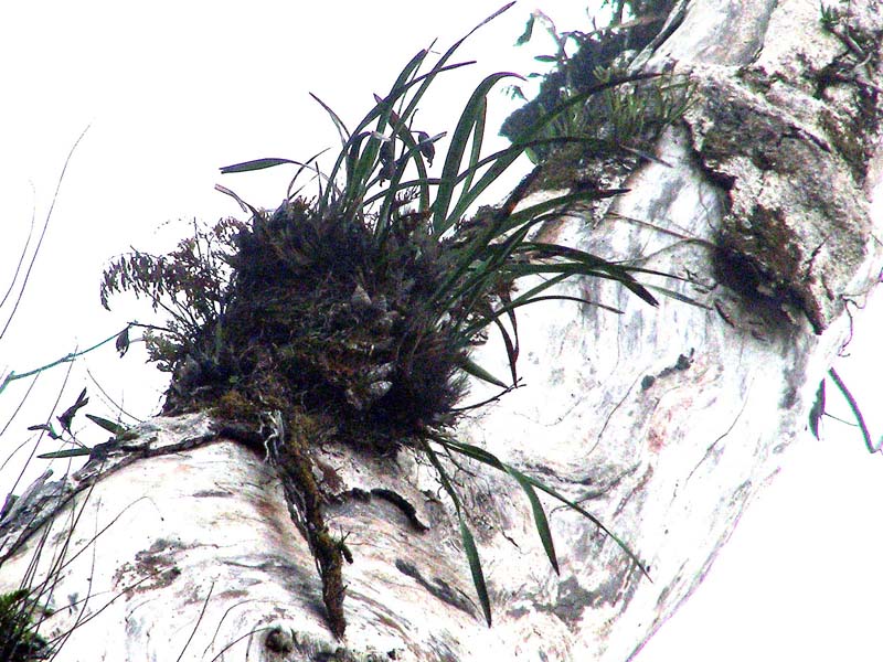 «ö¦¹¦b·sµøµ¡ÂsÄý¹Ï¤ù